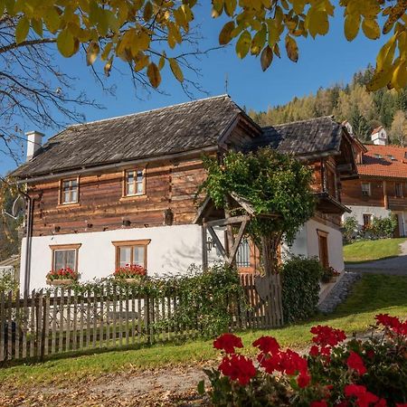 Troadkasten - Ferienhaus Am Bio-Bergbauernhof Aflenz Kurort Kültér fotó